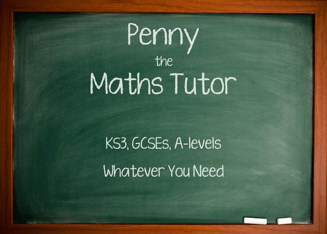 Penny the Maths Tutor