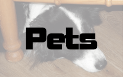 Pets